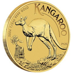 Zlatá minca 1/2 Oz Kangaroo 2024