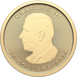 Zlatá minca 1/2 Oz Maple Leaf 2024