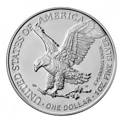 Strieborná minca 1 Oz American Eagle 2021 typ 2