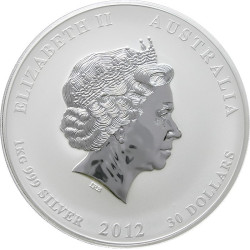 Strieborná minca 1 Kg Lunar Series II Year of the Dragon 2012