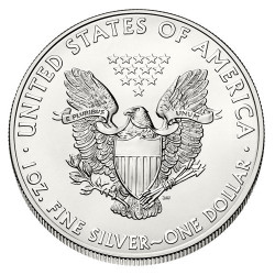 Strieborná minca 1 Oz American Eagle 2013