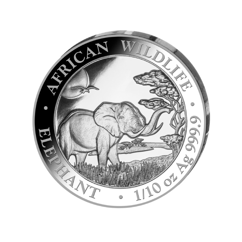 Strieborná minca 1/10 Oz African Wildlife Elephant 2019