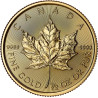 Zlatá minca 1/2 Oz Maple Leaf 2025