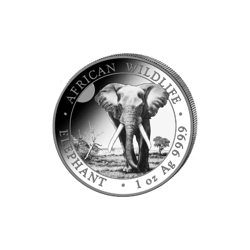 Strieborná minca 1 Oz African Wildlife Elephant 2025