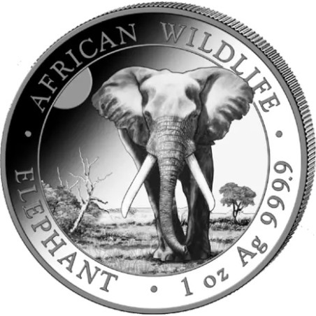 Strieborná minca 1 Oz African Wildlife Elephant 2025