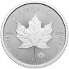 Stříbrná mince 1 Oz Maple Leaf 2025