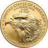 Zlatá minca 1 Oz American Eagle 2025