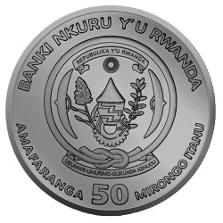 Strieborná minca 1 Oz Art Color Collection Year of the Dragon 2024 Kolorované