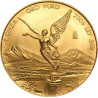 Zlatá minca 1 Oz Libertad 2006