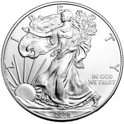 Strieborná minca 1 Oz American Eagle 2006