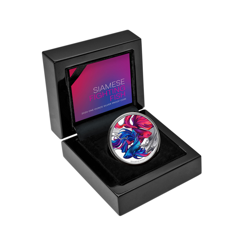 Strieborná minca 1 Oz Siamese Fighting Fish 2024 Proof