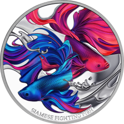 Strieborná minca 1 Oz Siamese Fighting Fish 2024 Proof