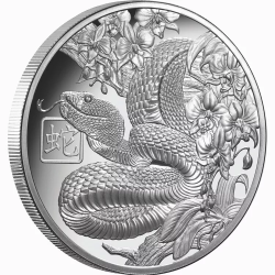 Strieborná minca 1 Oz Lunar Snake 2025 Proof