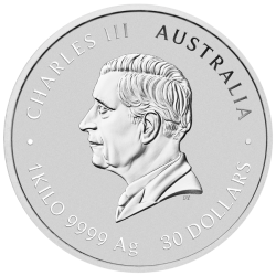Strieborná minca 1 Kg Lunar Series III Year of the Snake 2025 Privy Mark