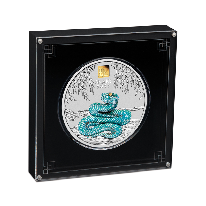 Strieborná minca 1 Kg Lunar Series III Year of the Snake 2025 Privy Mark