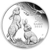 Strieborná minca 1/2 Oz Lunar Series III Year of the Rabbit 2023 Proof