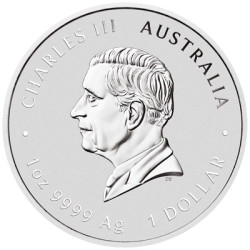 Strieborná minca 1 Oz Lunar Series III Rok Hada 2025 Pozlátené