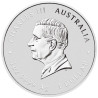 Strieborná minca 1 Oz Lunar Series III Rok Hada 2025 Pozlátené