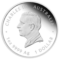 Strieborná minca 1 Oz Lunar Series III Year of the Snake 2025 Kolorovaná Proof