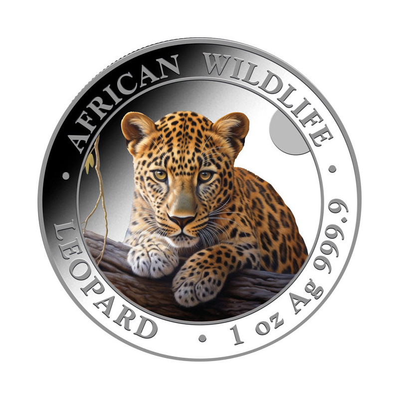 Strieborná minca 1 Oz African Wildlife Leopard 2025 Kolorovaná