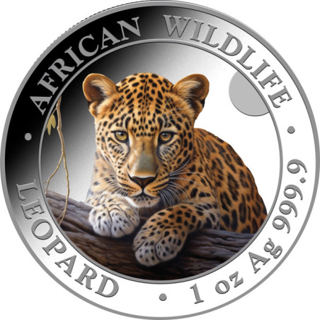 Strieborná minca 1 Oz African Wildlife Leopard 2025 Kolorovaná