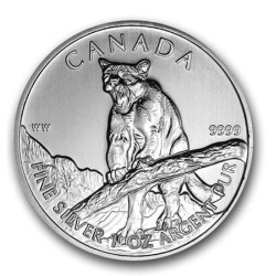 Stříbrná mince 1 Oz Canada...