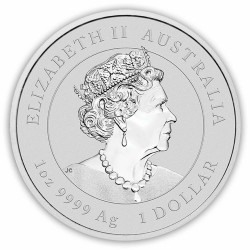 Strieborná minca 1 Oz Lunar Series III Year of the Mouse 2020