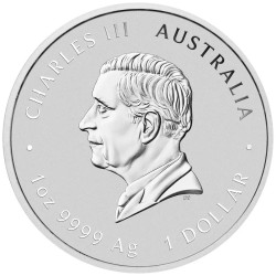 Strieborná minca 1 Oz Lunar Series III Year of the Snake 2025 Kolorovaná
