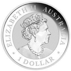 Strieborná minca 1 Oz Australian Brumby Horse 2022
