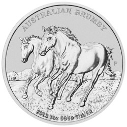 Strieborná minca 1 Oz...