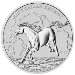 Strieborná minca 1 Oz...