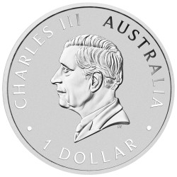 Strieborná minca 1 Oz Australian Brumby Horse 2024