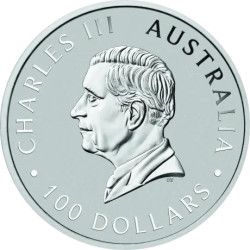 Platinová minca 1 Oz Kangaroo 2025