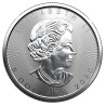 Strieborná minca 1 Oz Maple Leaf rôzne roky