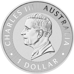 Strieborná minca 1 Oz Kangaroo rôzne roky