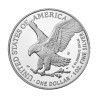 Strieborná minca 1 Oz American Eagle 2023 Proof