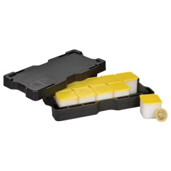 Zlatá minca 1 Oz The Tudor Beasts Queens Lion 2026