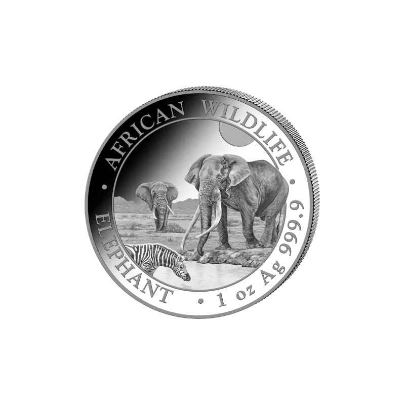 Strieborná minca 1 Oz African Wildlife Elephant 2026
