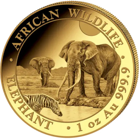 Zlatá minca 1 Oz African Wildlife Elephant 2026