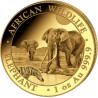 Zlatá minca 1 Oz African Wildlife Elephant 2026