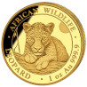 Zlatá minca 1 Oz African Wildlife Leopard 2025
