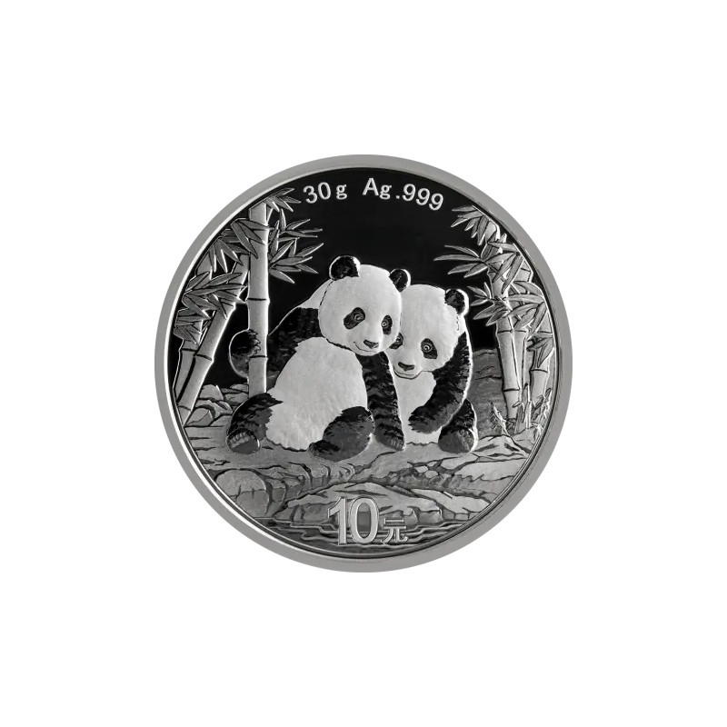 Strieborná minca 30 g China Panda 2026