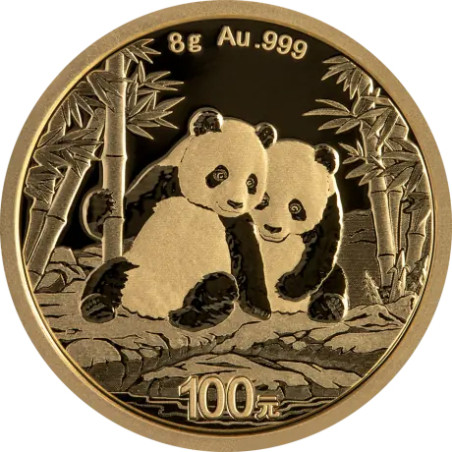 Zlatá minca 8 g China Panda 2026