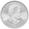Strieborná minca 1 Oz Maple Leaf 2018 - 30th Anniversary
