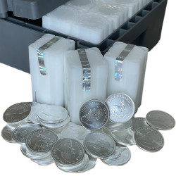 Strieborná minca 1 Oz...