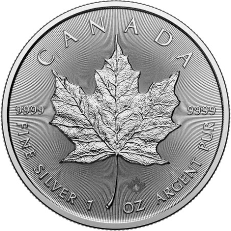 Strieborná minca 1 Oz Maple Leaf 2026