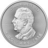 Strieborná minca 1 Oz Maple Leaf 2026