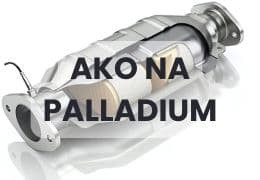Investičné paládium: Ako investovať do paládia podľa Gold & Silver